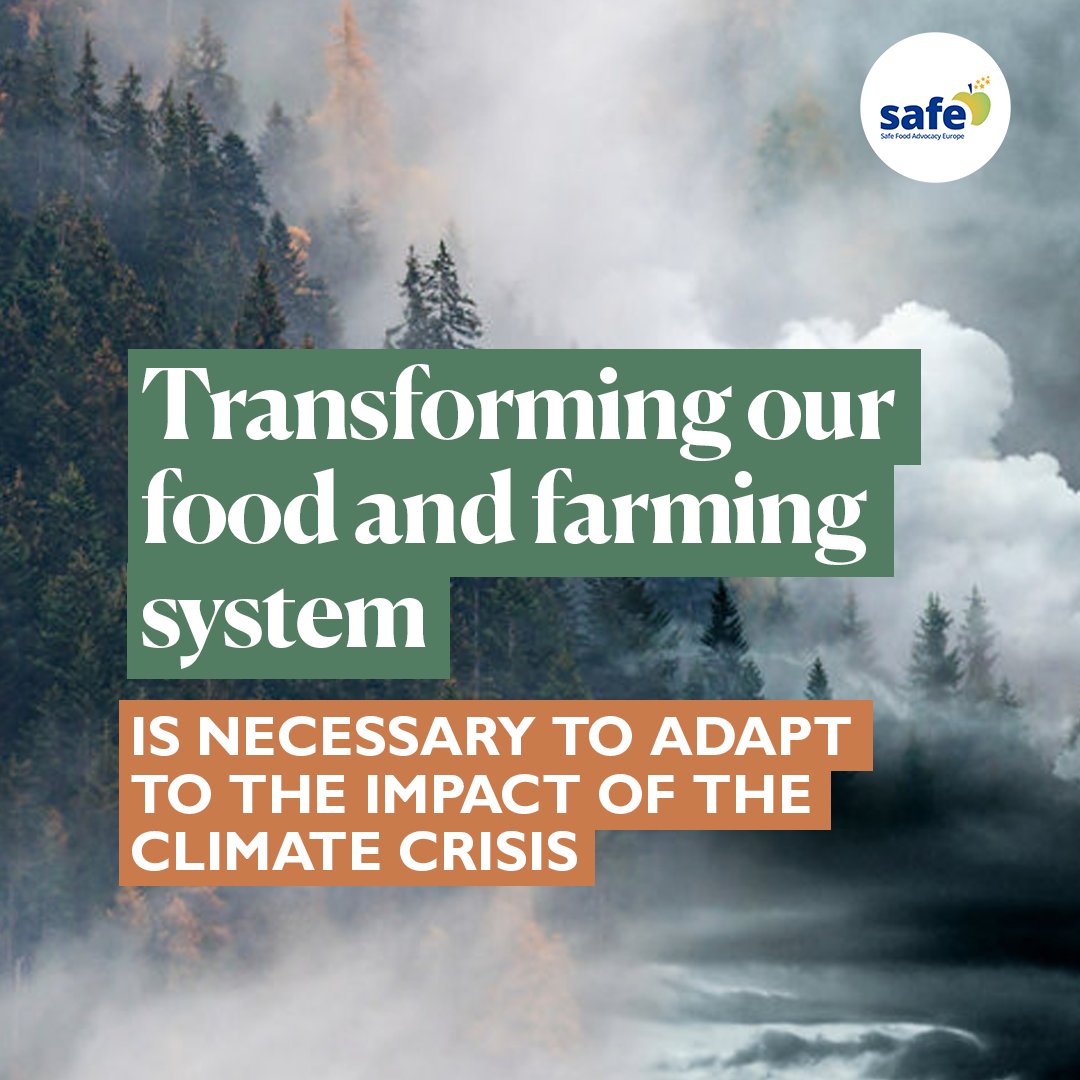 SAFE - Safe Food Advocacy Europe tweet media