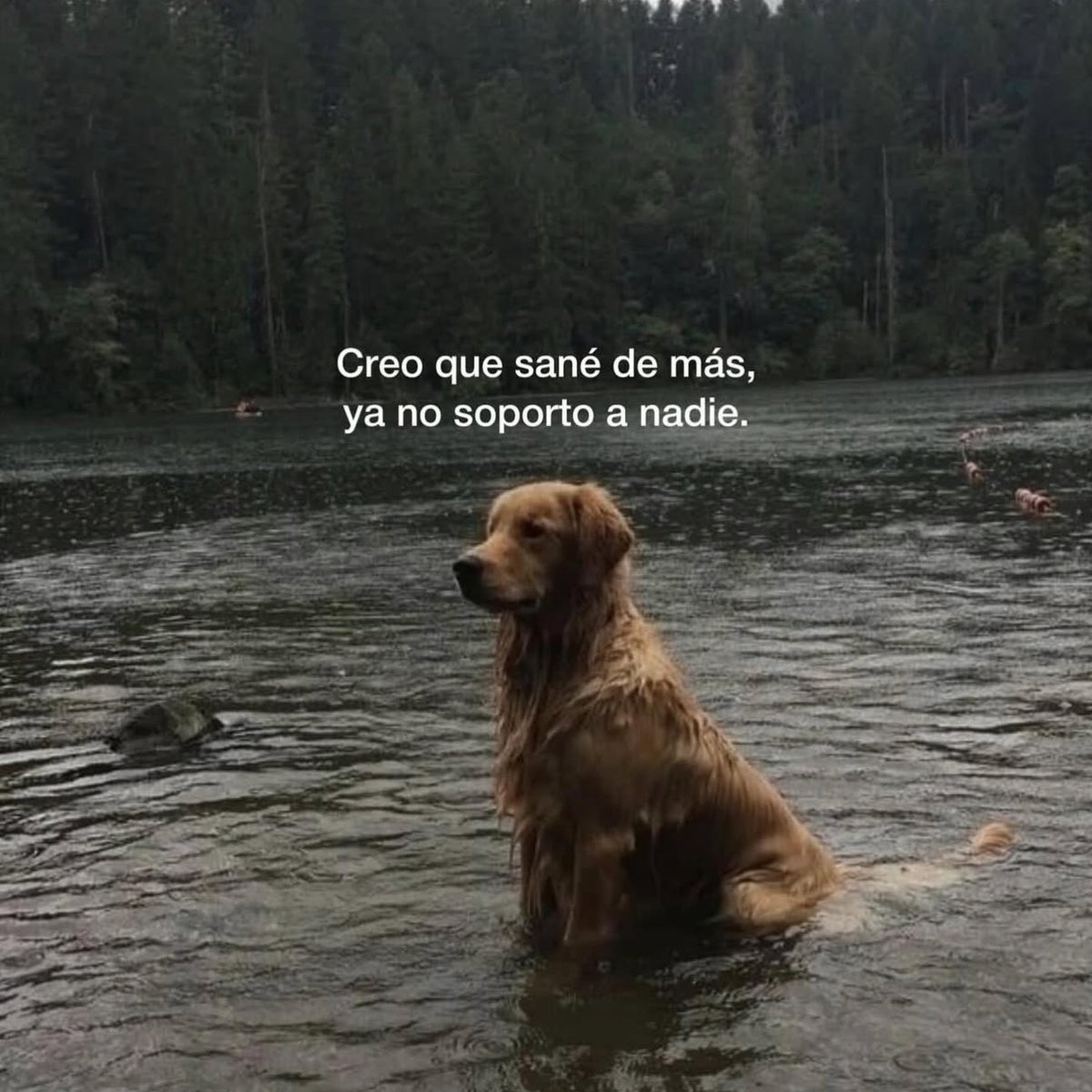 Eze. (@_ezesantucho) on Twitter photo 