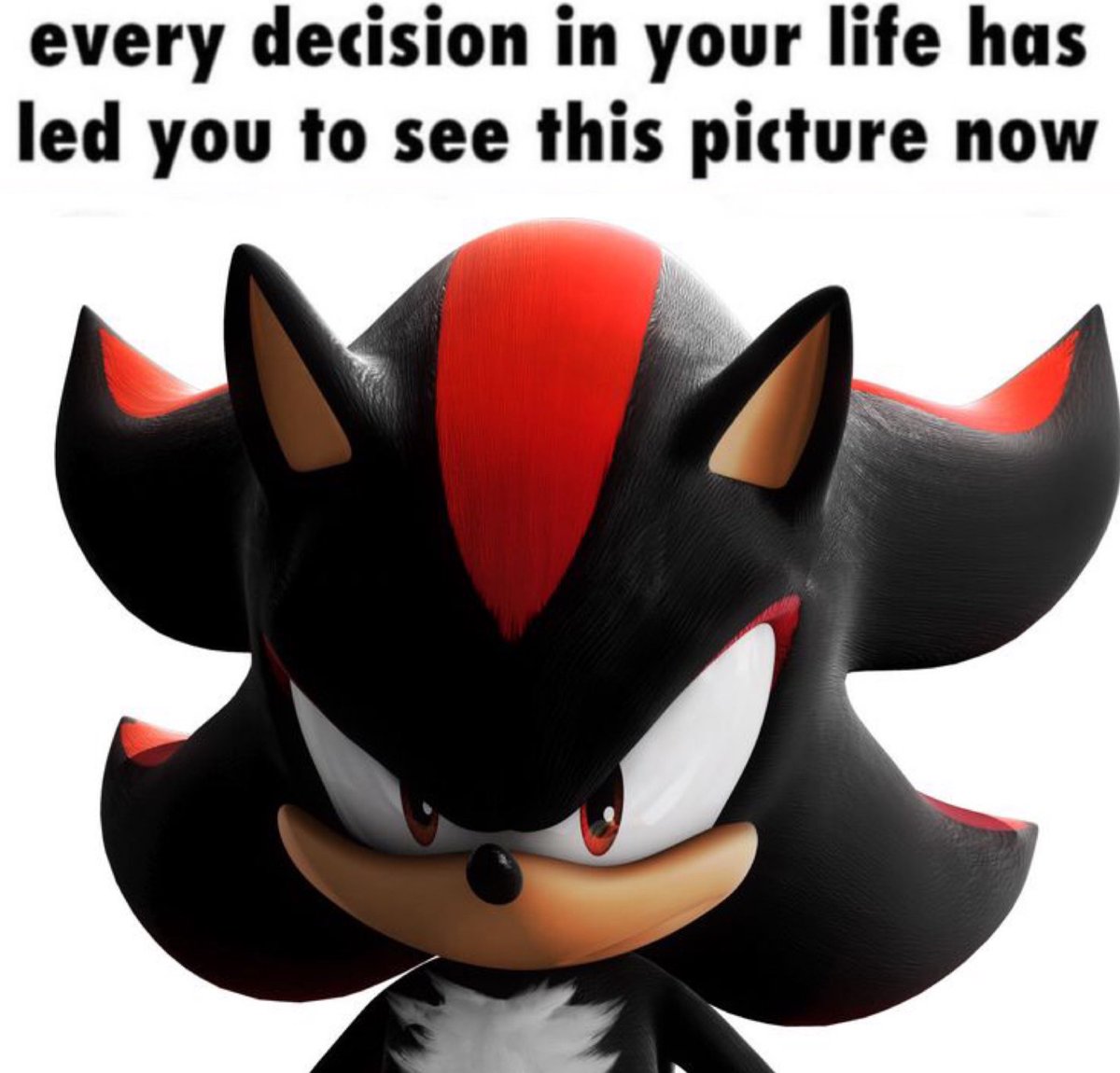 Shadow Cringelord tweet media