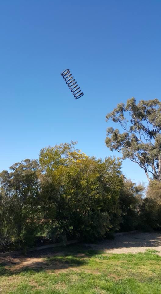 Ah. Spring is in the air.