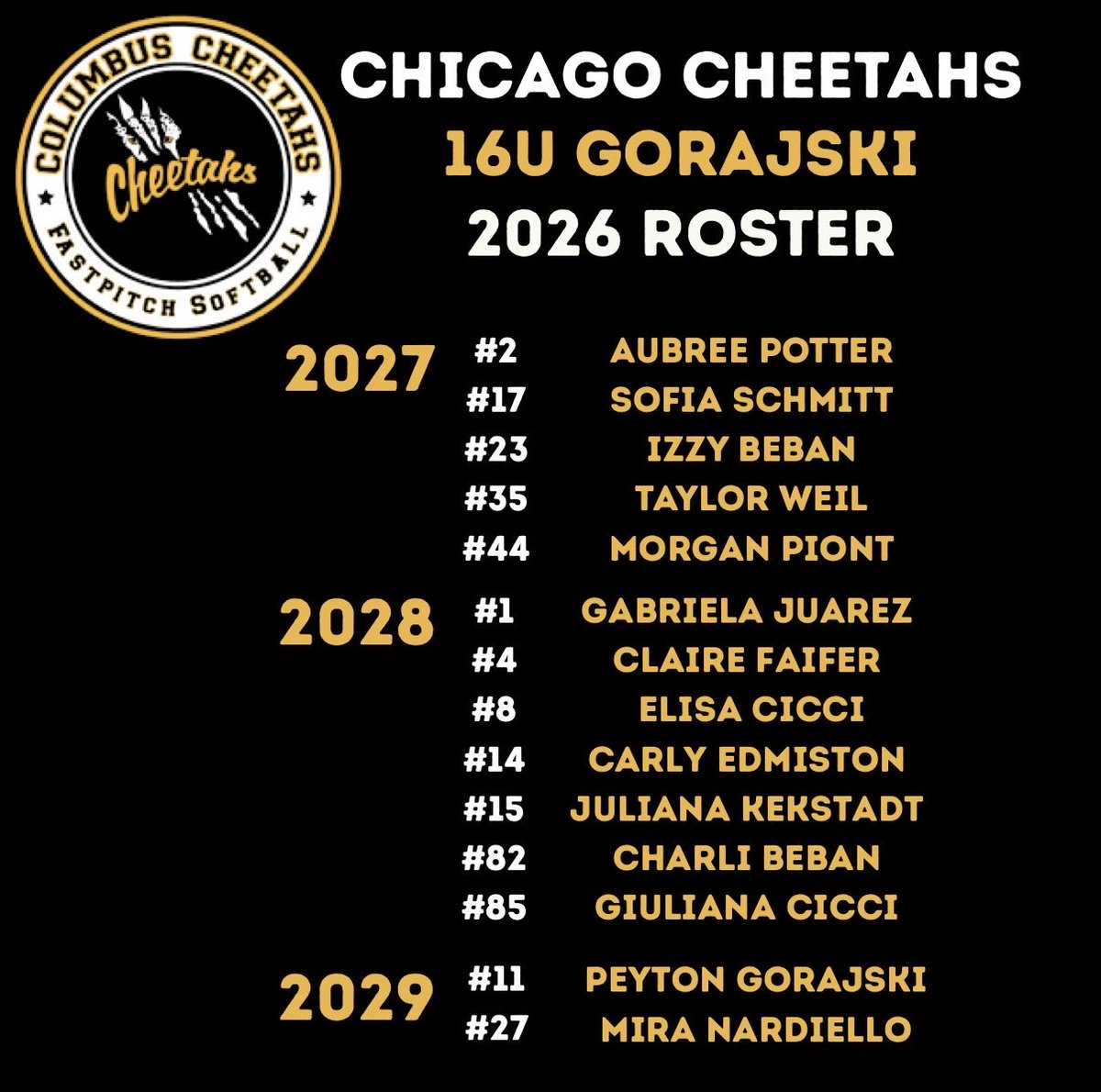 Chicago Cheetahs -Gorajski tweet media