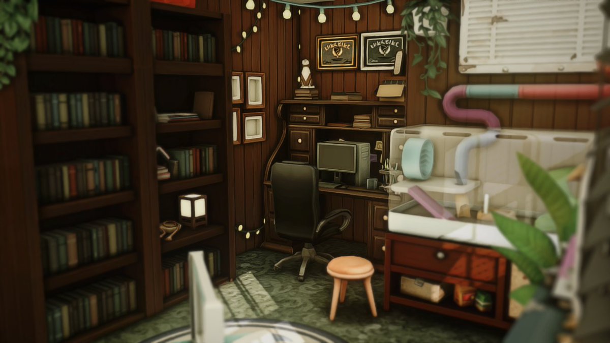 haezl ♢ tweet media