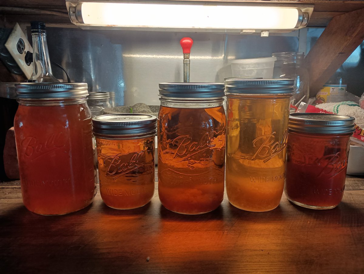 Nathan Bradley tweet media