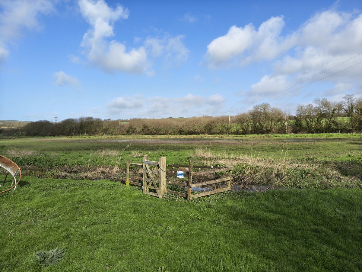 Roger Treeby tweet media