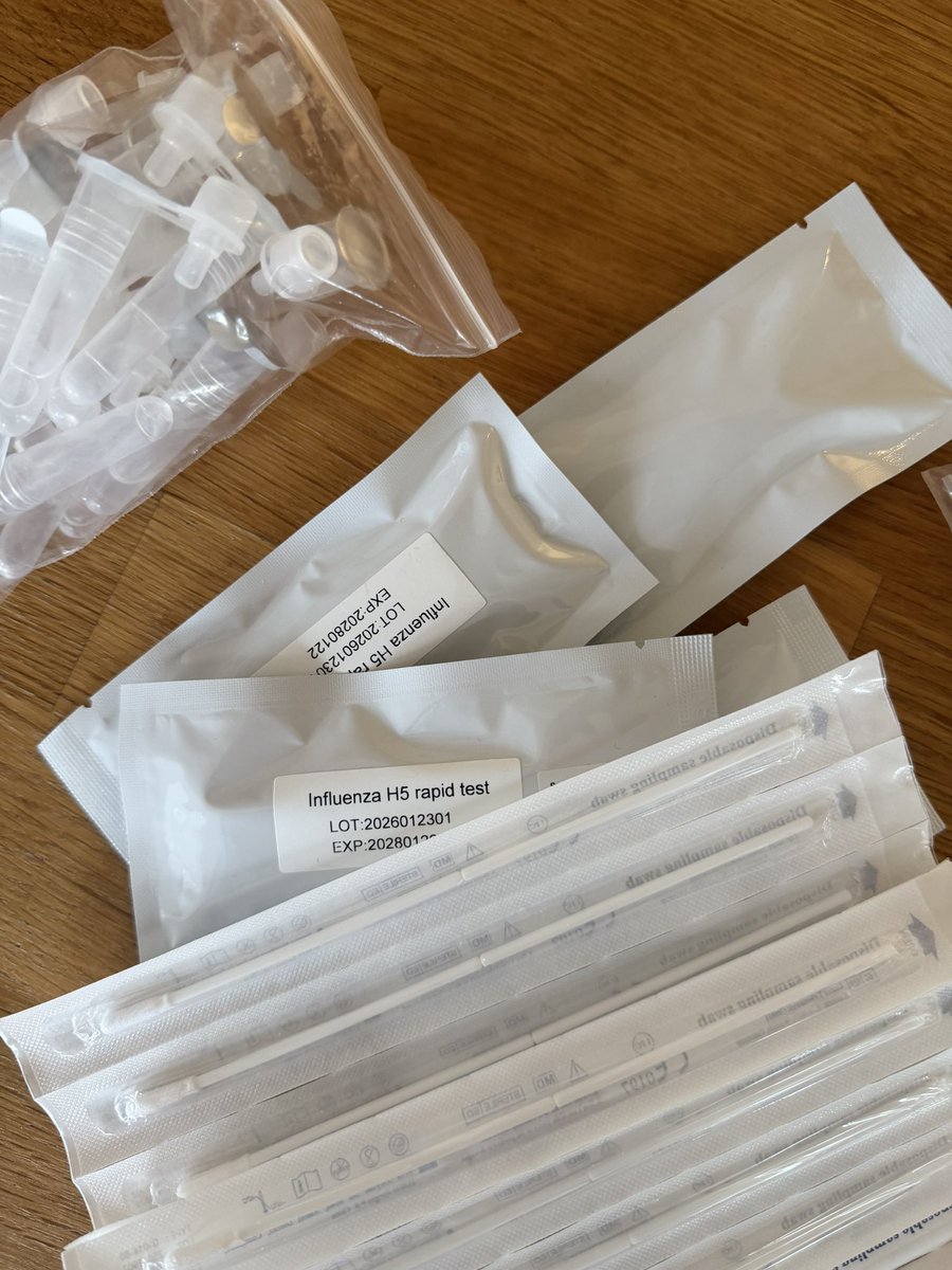 Sander Julian Brus tweet media