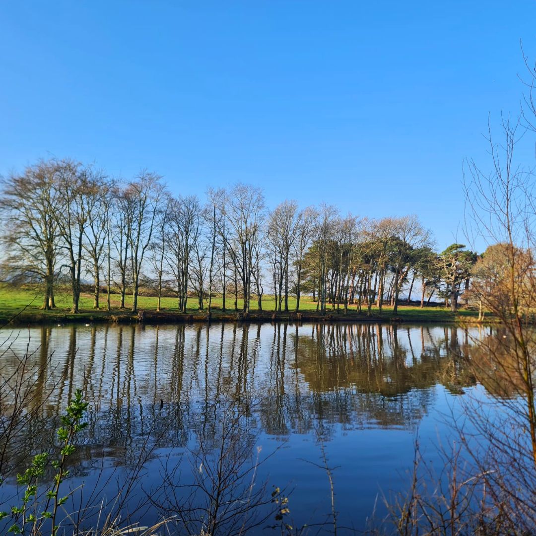 Parham House & Gdns tweet media