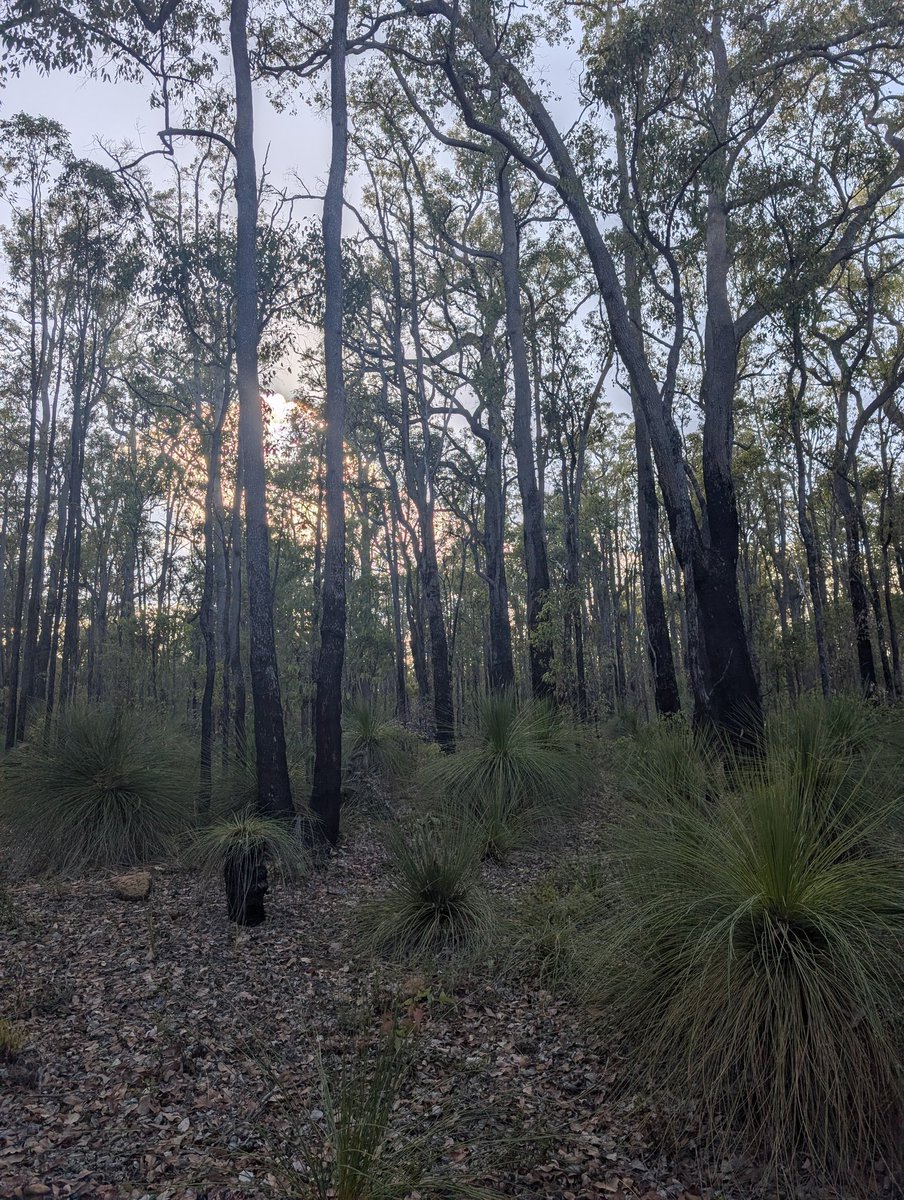 Ryleyyy 🦴 ✨➡️WAFF26 tweet media