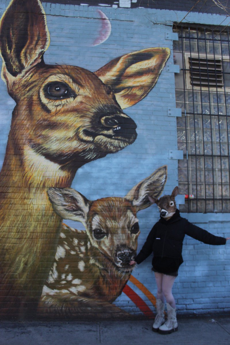 doecaine tweet media