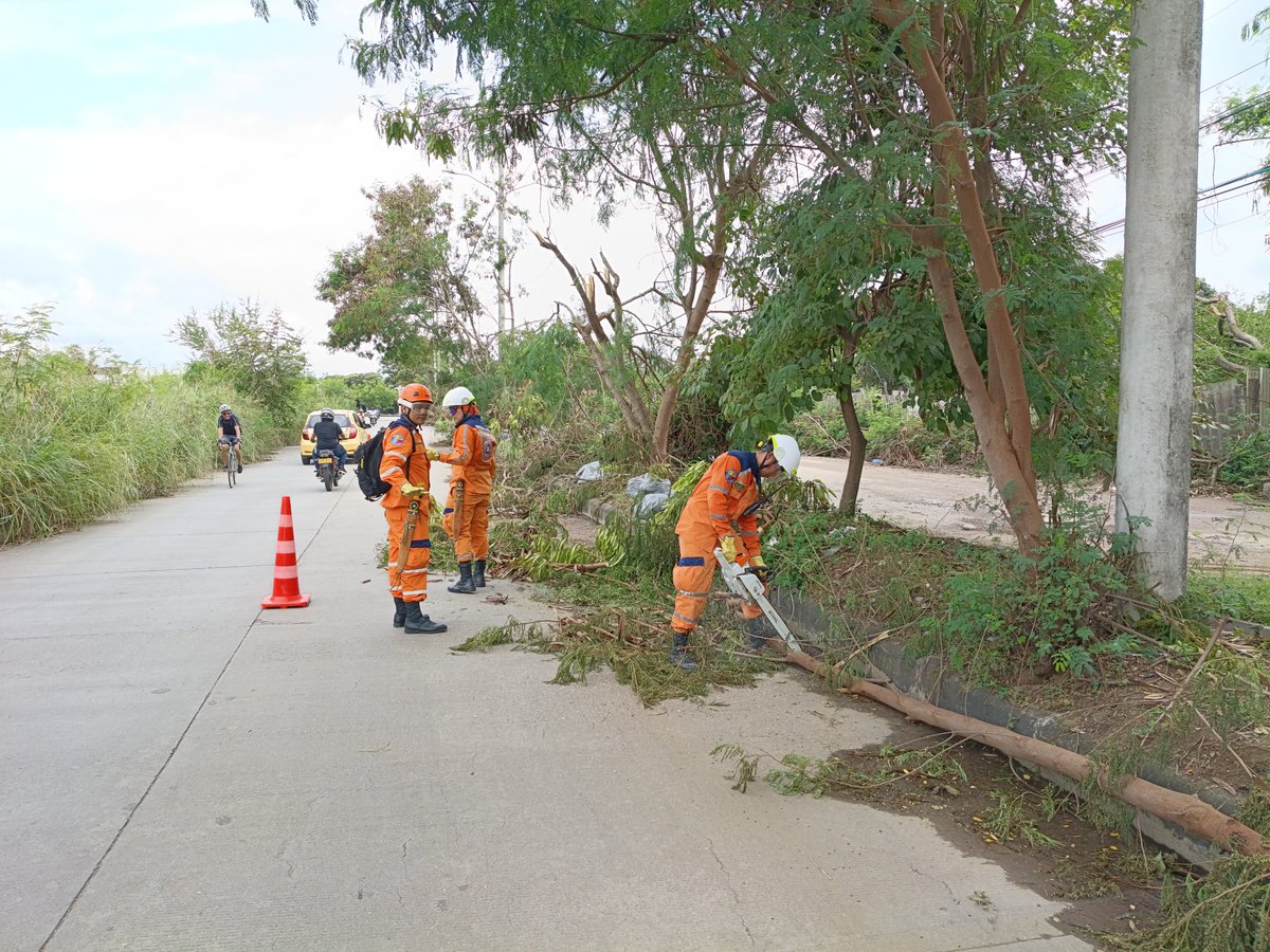 #Neiva | 10 Marzo 
Tercer día de labores tras el vendaval.
Desde la <a href="/DefensaCivilCo/">DefensaCivilColombia</a> continuamos trabajando en poda, corte de ramas, trozado de troncos y retiro de árboles caídos, apoyando el restablecimiento de la movilidad.
<a href="/DefensaCivilCo/">DefensaCivilColombia</a>
#Huila #ListosEnPazOEmergencia