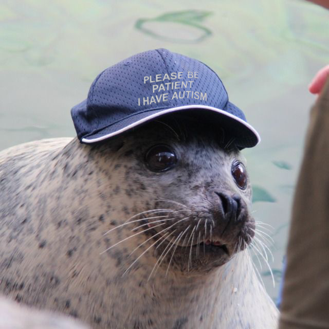 bennysnatch.sonic 🥽🐼 tweet media