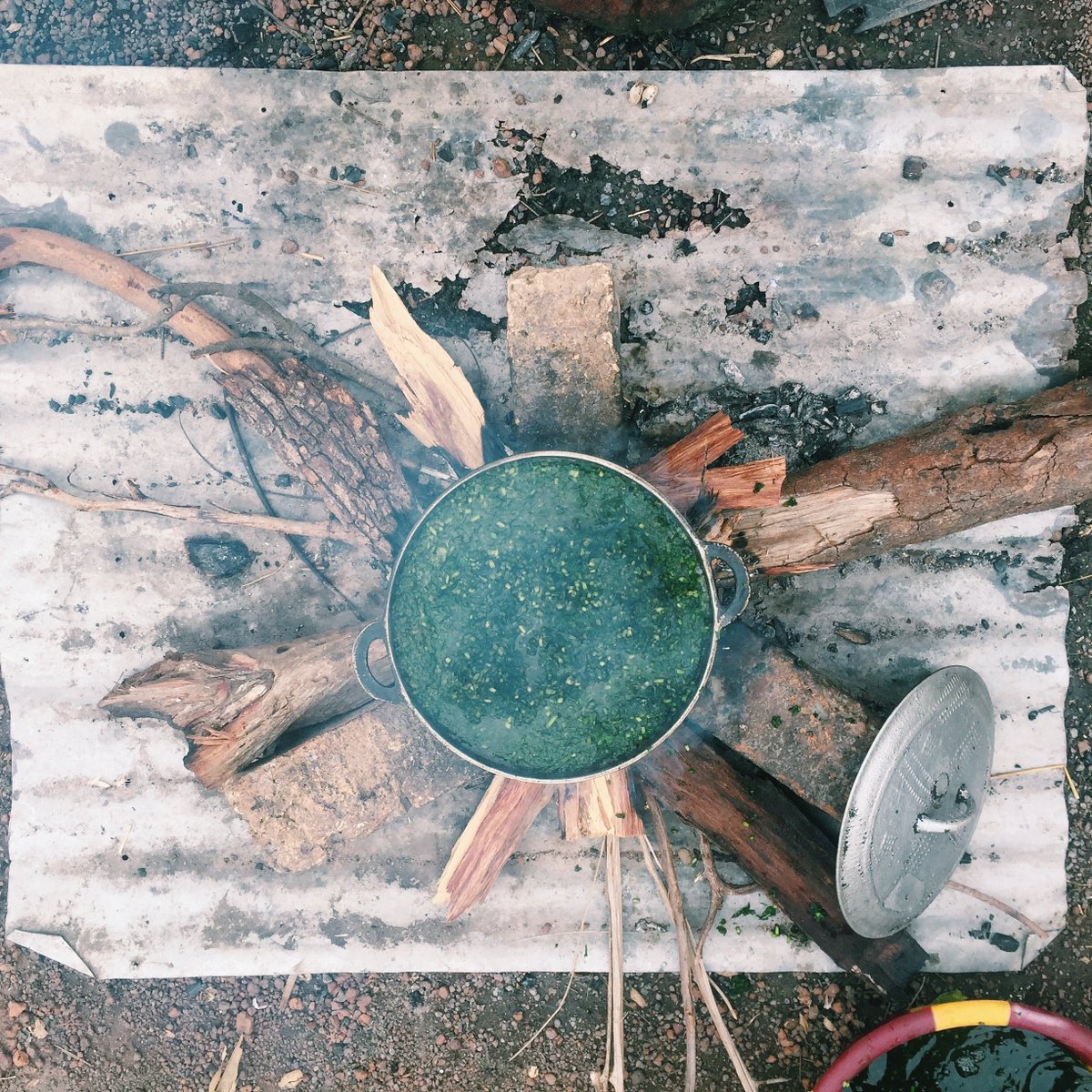 Peace Corps tweet media