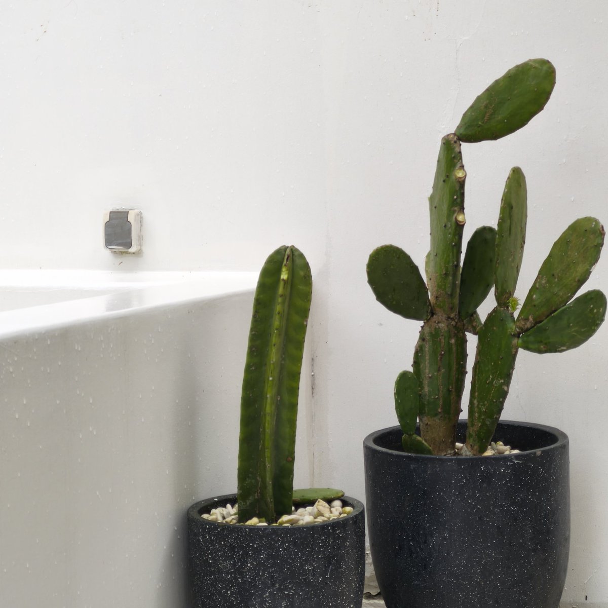 NRG tina tweet media