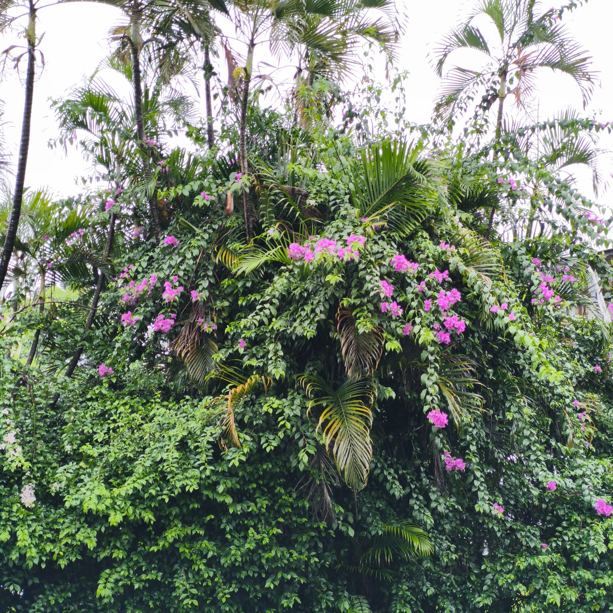 NRG tina tweet media