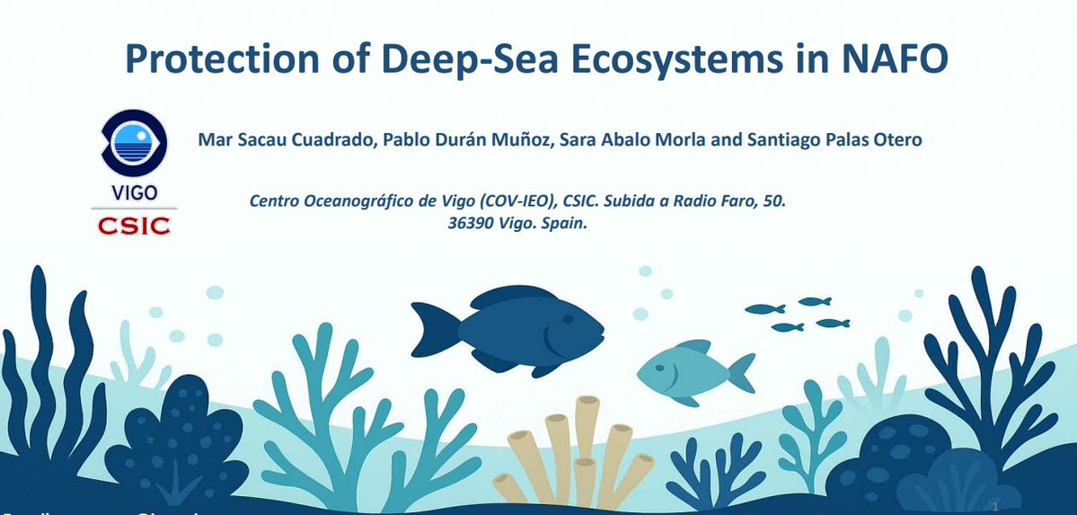 IEO Vigo tweet media