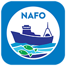 IEO Vigo tweet media