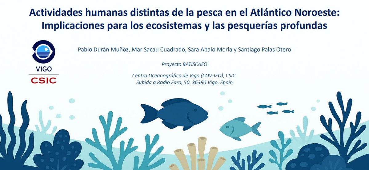 IEO Vigo tweet media