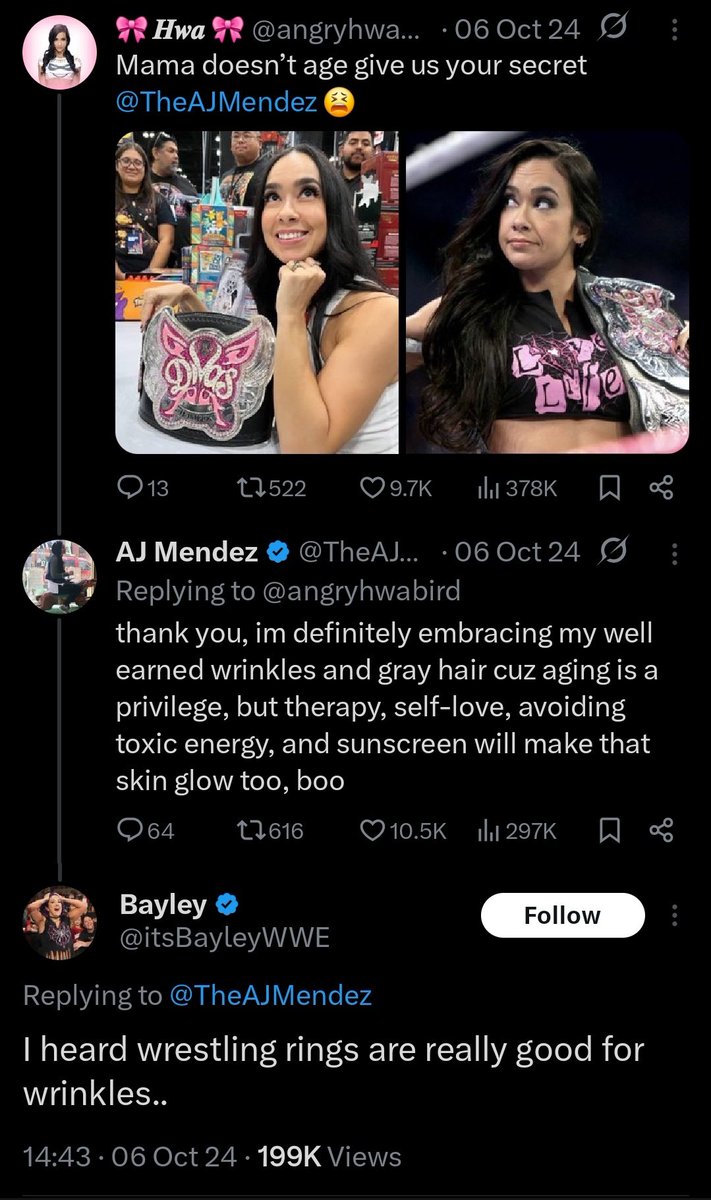 never forget that bayley was basically running the “bring aj lee back to wrestling” campaign