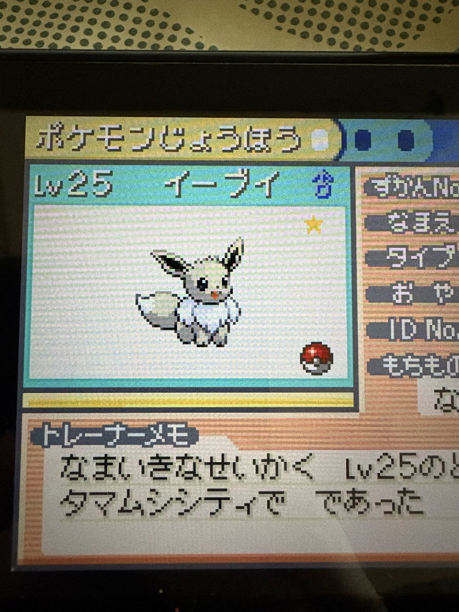 IS2WHITEALBUM's tweet photo. まさかね、、、
出会えるなんて😭

#ポケモンFRLG
#ポケモン30周年 https://t.co/GVzNrAj9rH