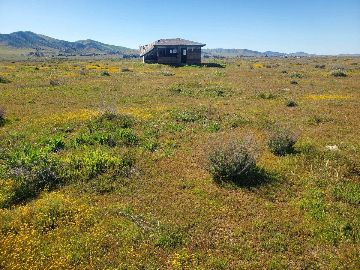 Obscurium-Gov tweet media