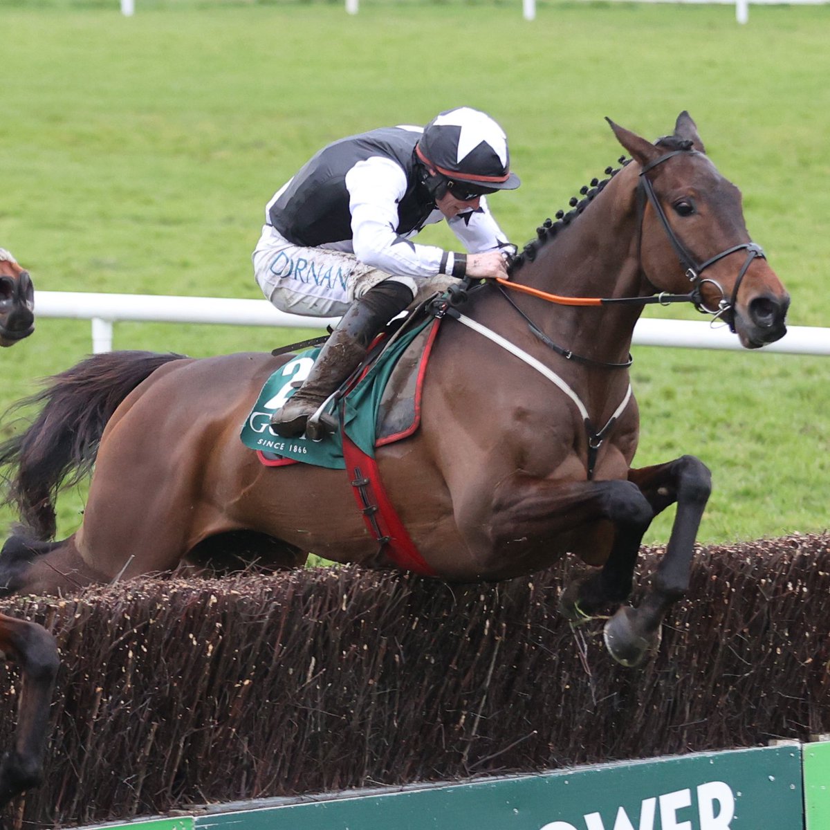 Racing Post tweet media
