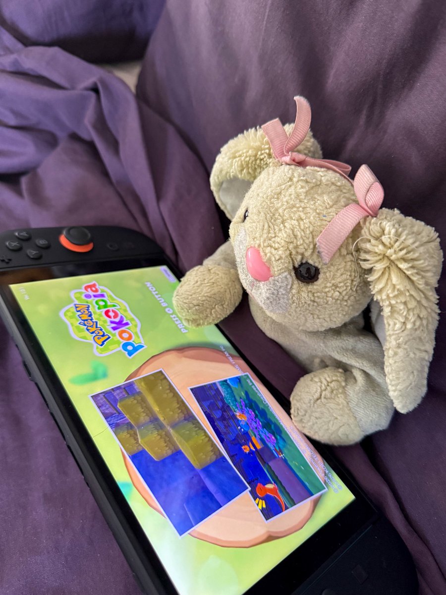 beernotbabies tweet media