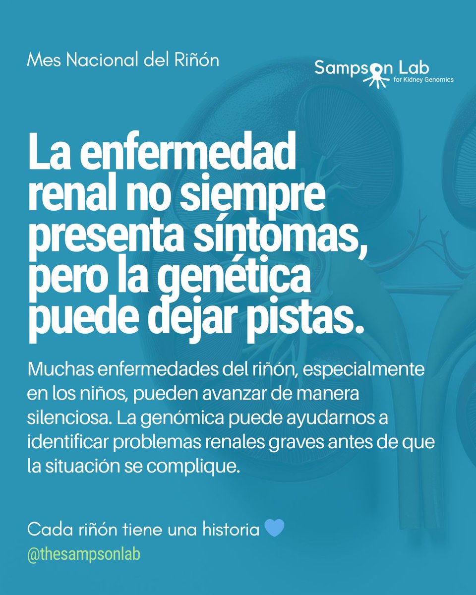 Sampson Lab for Kidney Genomics tweet media