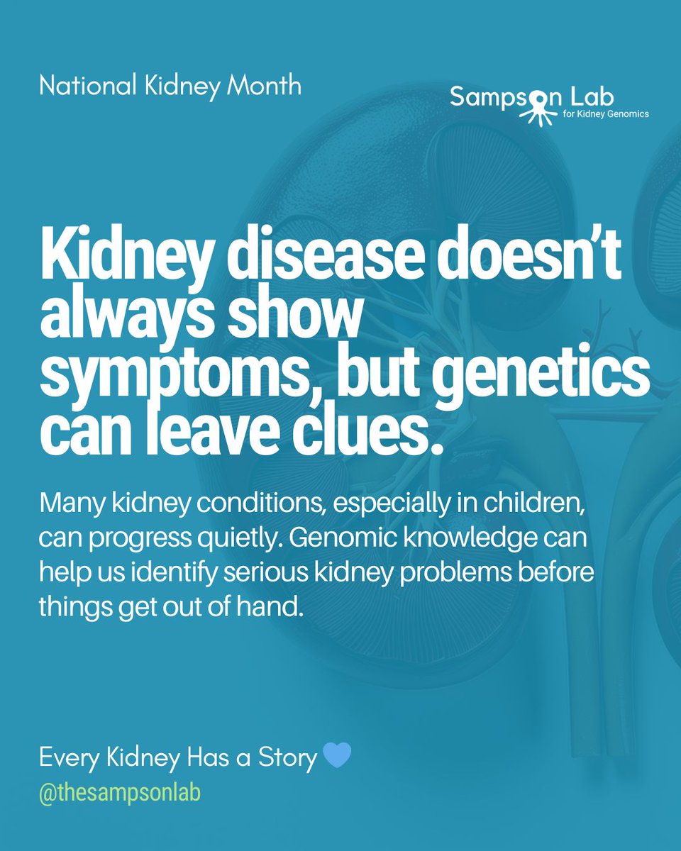 Sampson Lab for Kidney Genomics tweet media