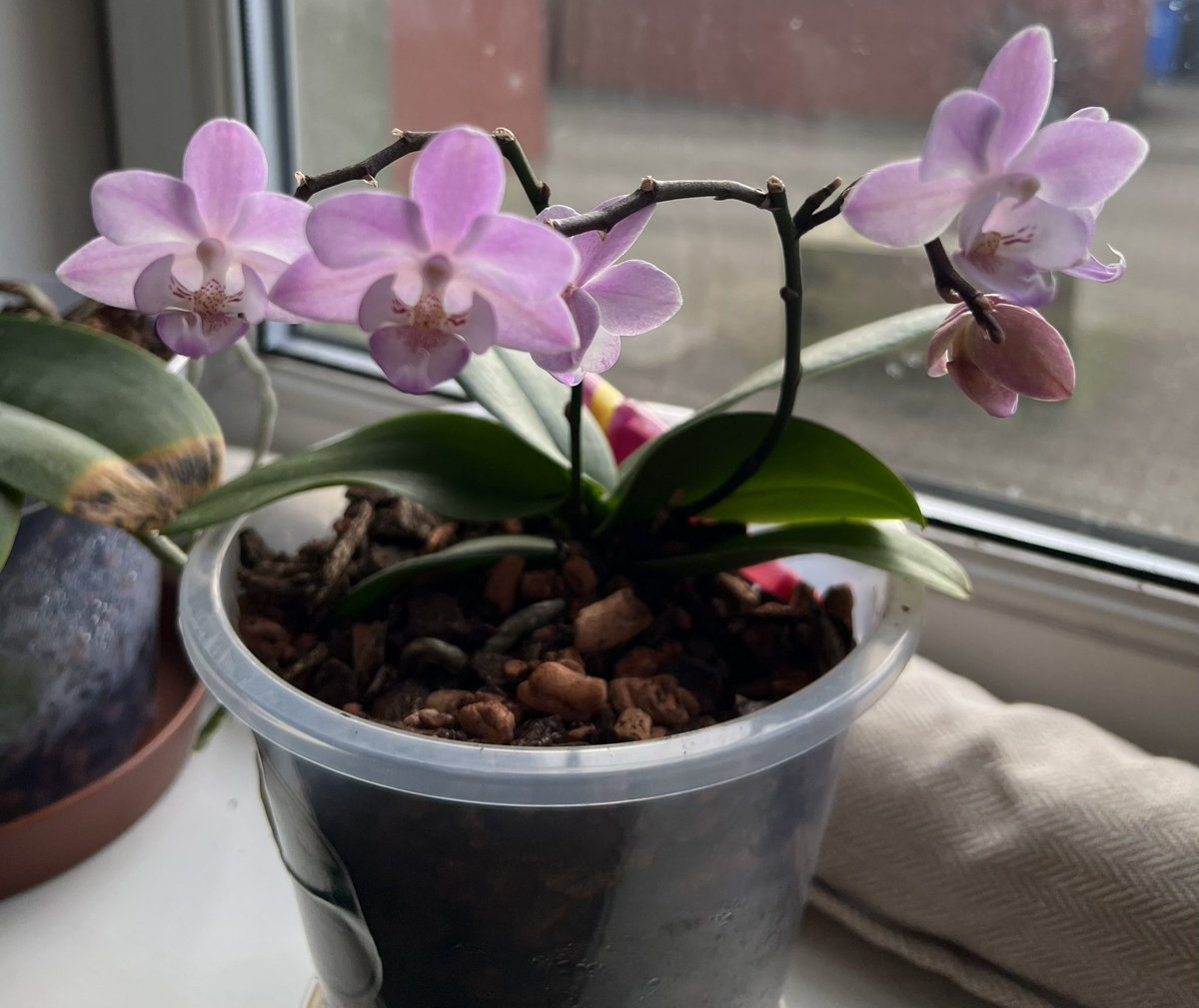 Robyn Webber tweet media