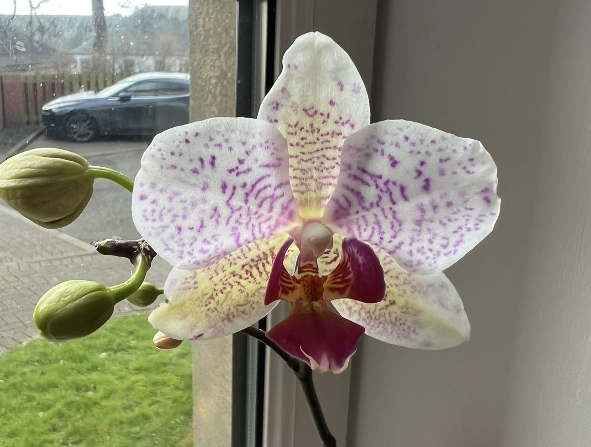 Robyn Webber tweet media