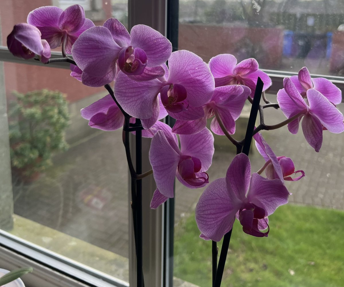 Robyn Webber tweet media