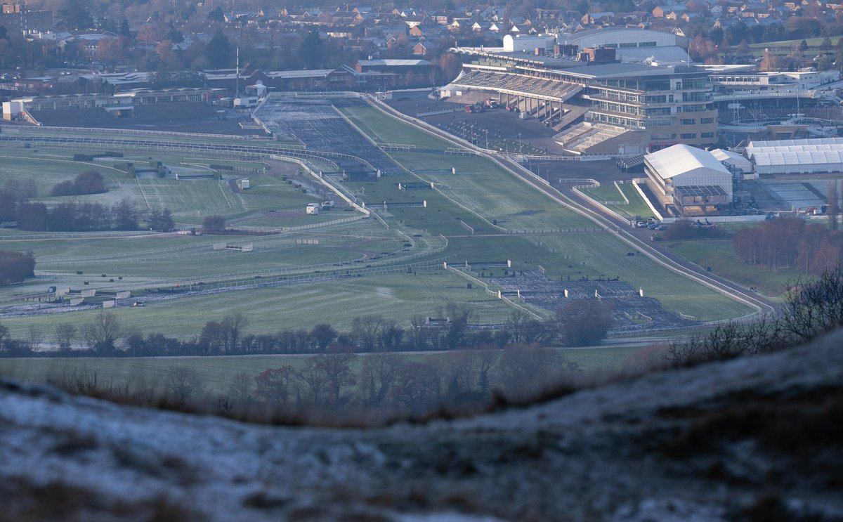 🐦Pigeon🐎Island🐦 tweet media