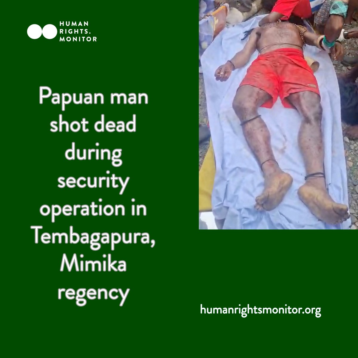 Human Rights Monitor tweet media