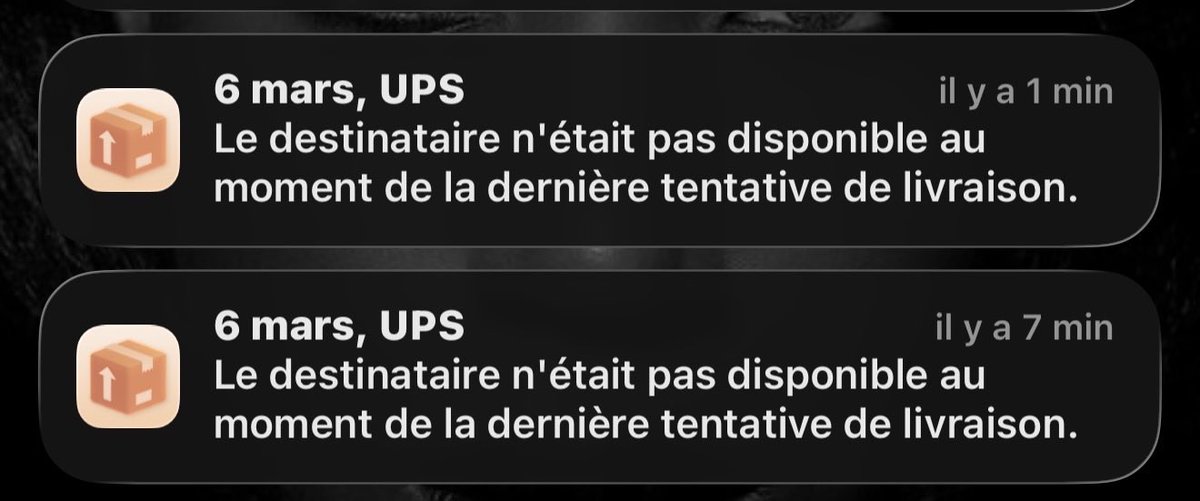 Animal Shadow. tweet media