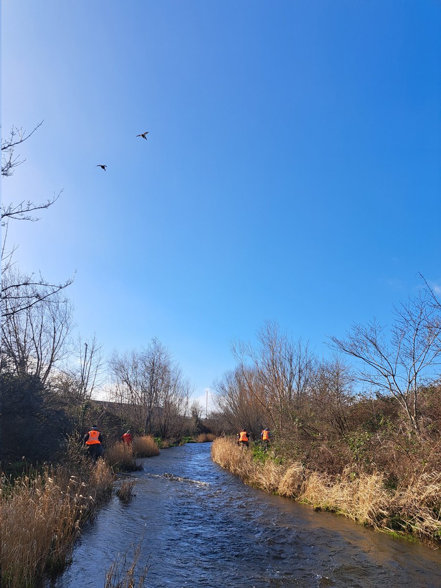 Water of Leith Conservation Trust tweet media
