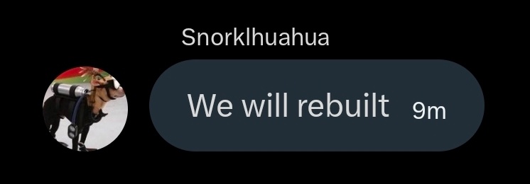 Joe Wilkins tweet media