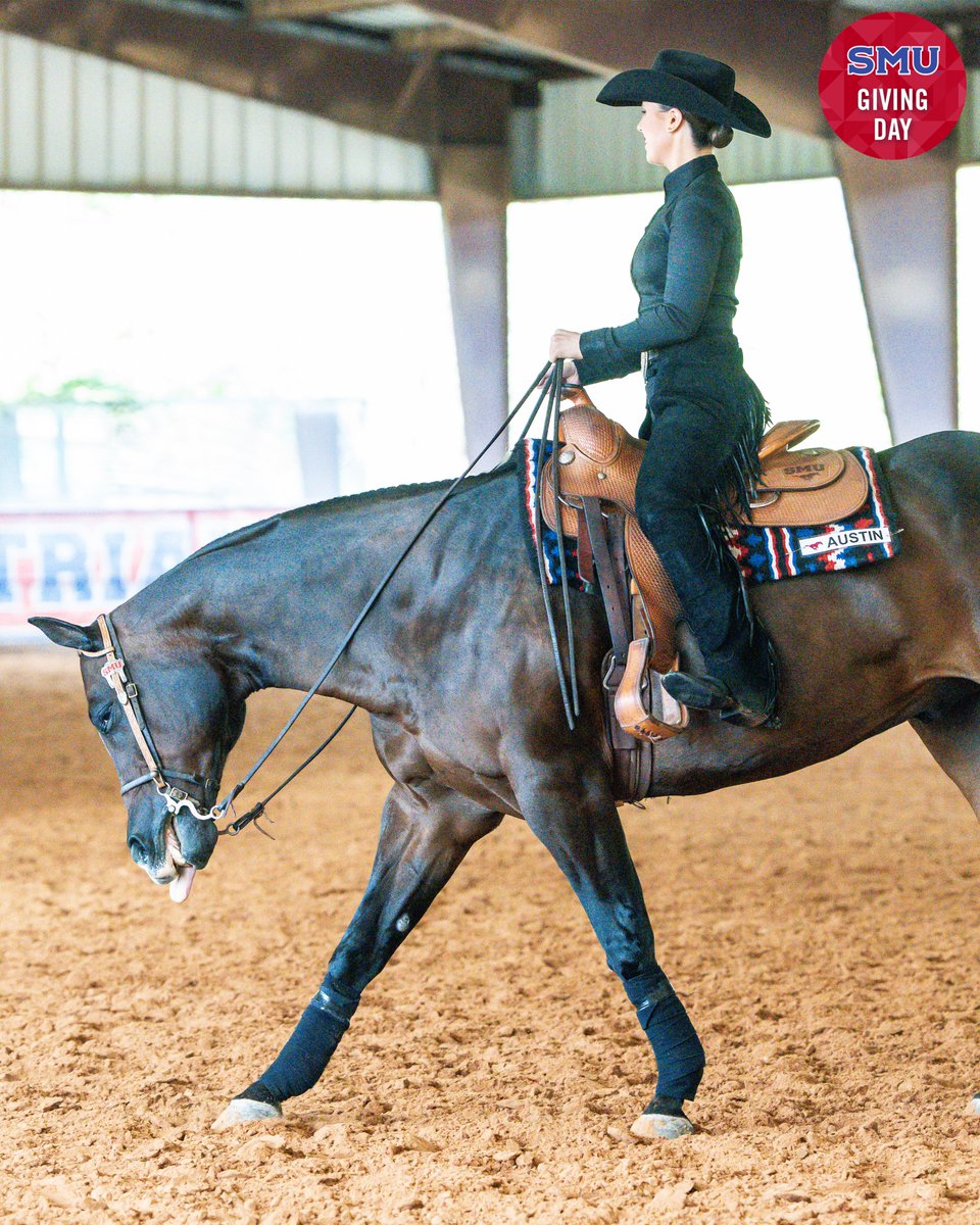 SMU Equestrian tweet media