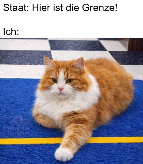 Der rosarote Panzer tweet media