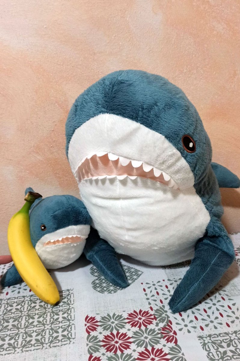 Hello, pizzeria?
We’d like a giant pizza with ham, tuna, mushrooms, sausage, peppers, capers, and olives. 
Hello? … Hello!
Human, this yellow telephone must be broken.
No one is answering!

#IKEAのサメ #ikeashark #stuffedtoy #blåhaj #brioches #italy #pizza #lasagna #banana
