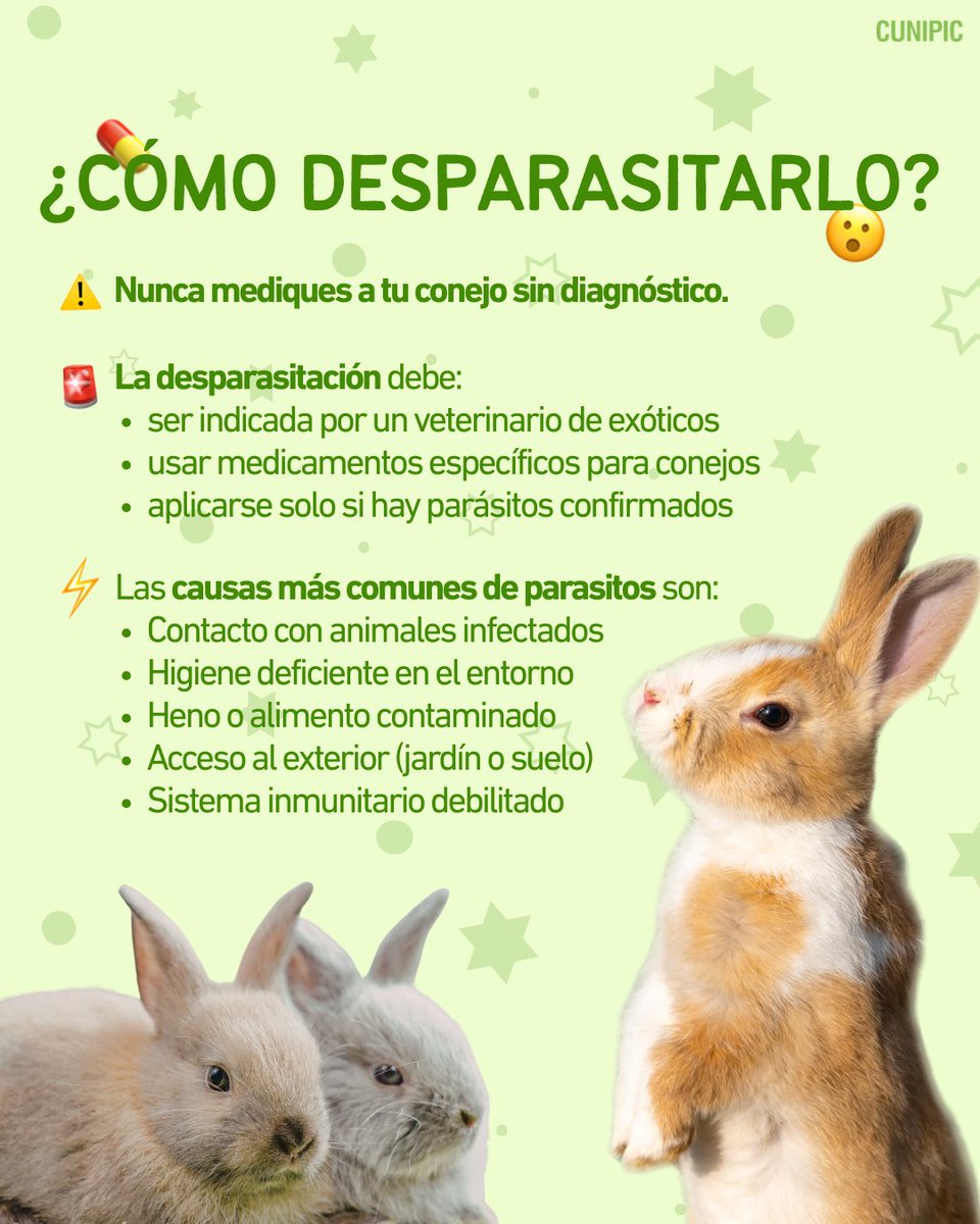CUNIPIC l Alimentación natural para tu mascota tweet media
