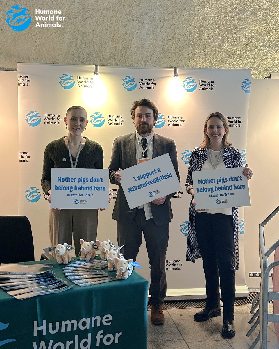 Humane World for Animals UK tweet media
