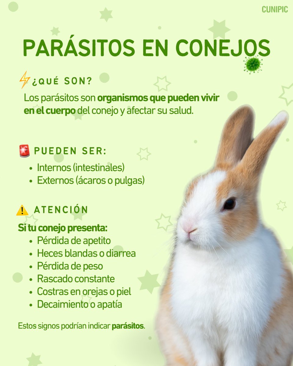 CUNIPIC l Alimentación natural para tu mascota tweet media