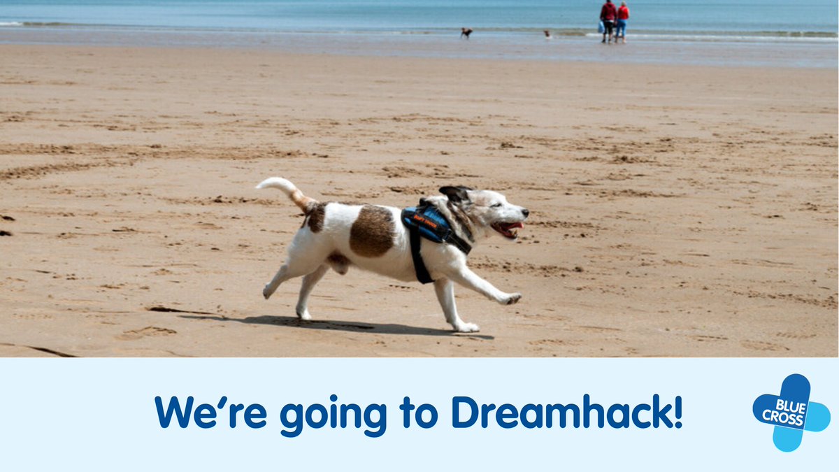 Blue Cross Stream Team🔜 Dreamhack Birmingham tweet media