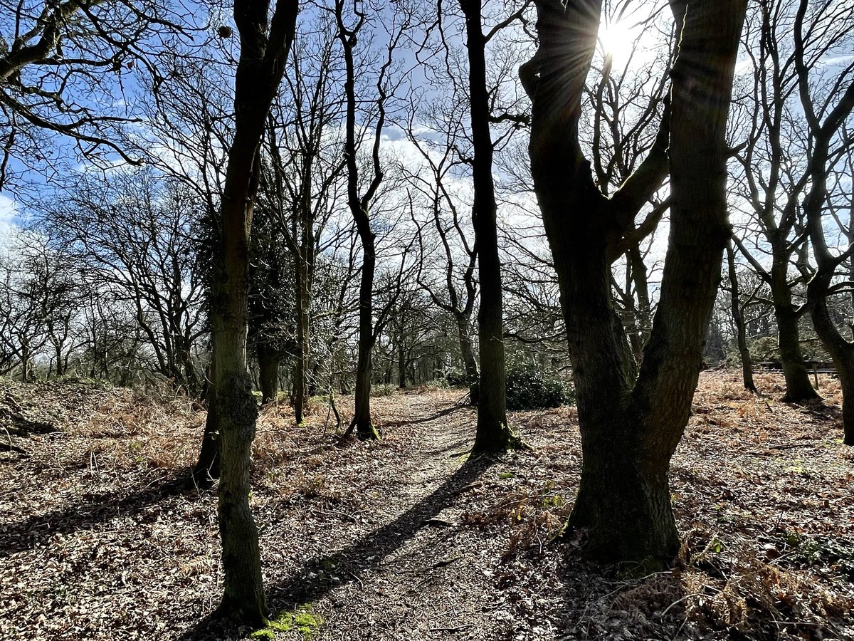 GreenG15125's tweet image. Wednesday 11/3/26
#SpringWalks #Adders