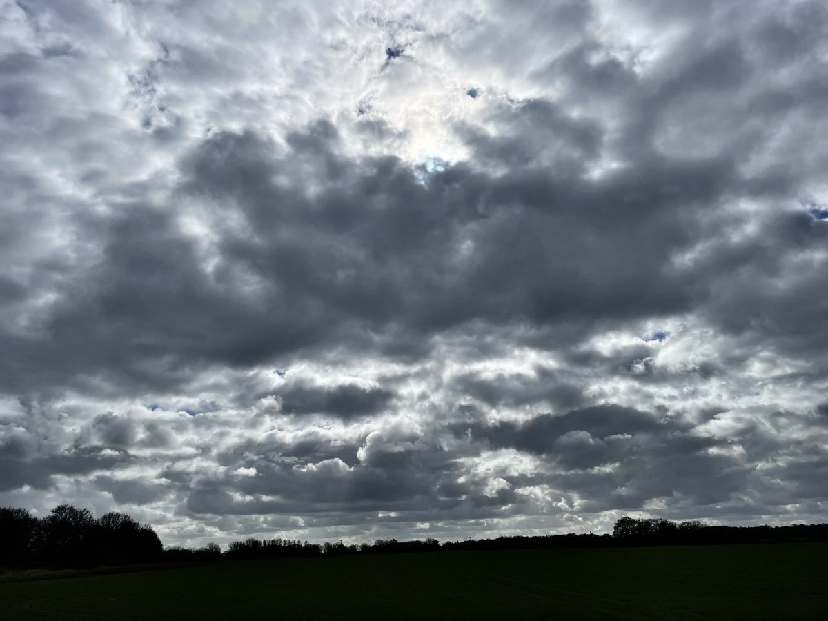 GreenG15125's tweet image. Wednesday 11/3/26
#SpringWalks #Adders