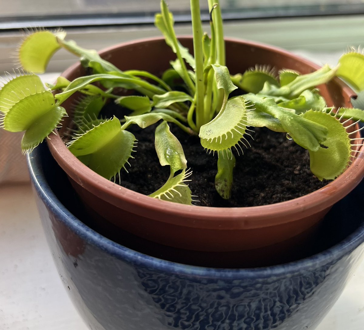 Robyn Webber tweet media