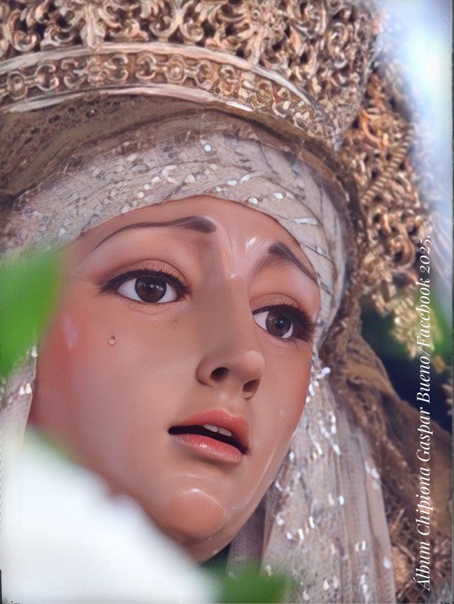 Album Chipiona tweet media