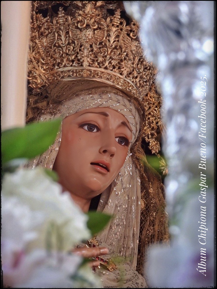 Album Chipiona tweet media