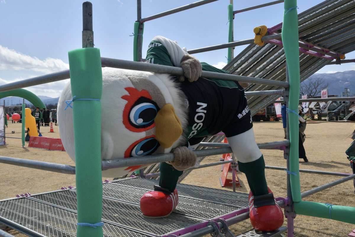 り な 🕊 tweet media