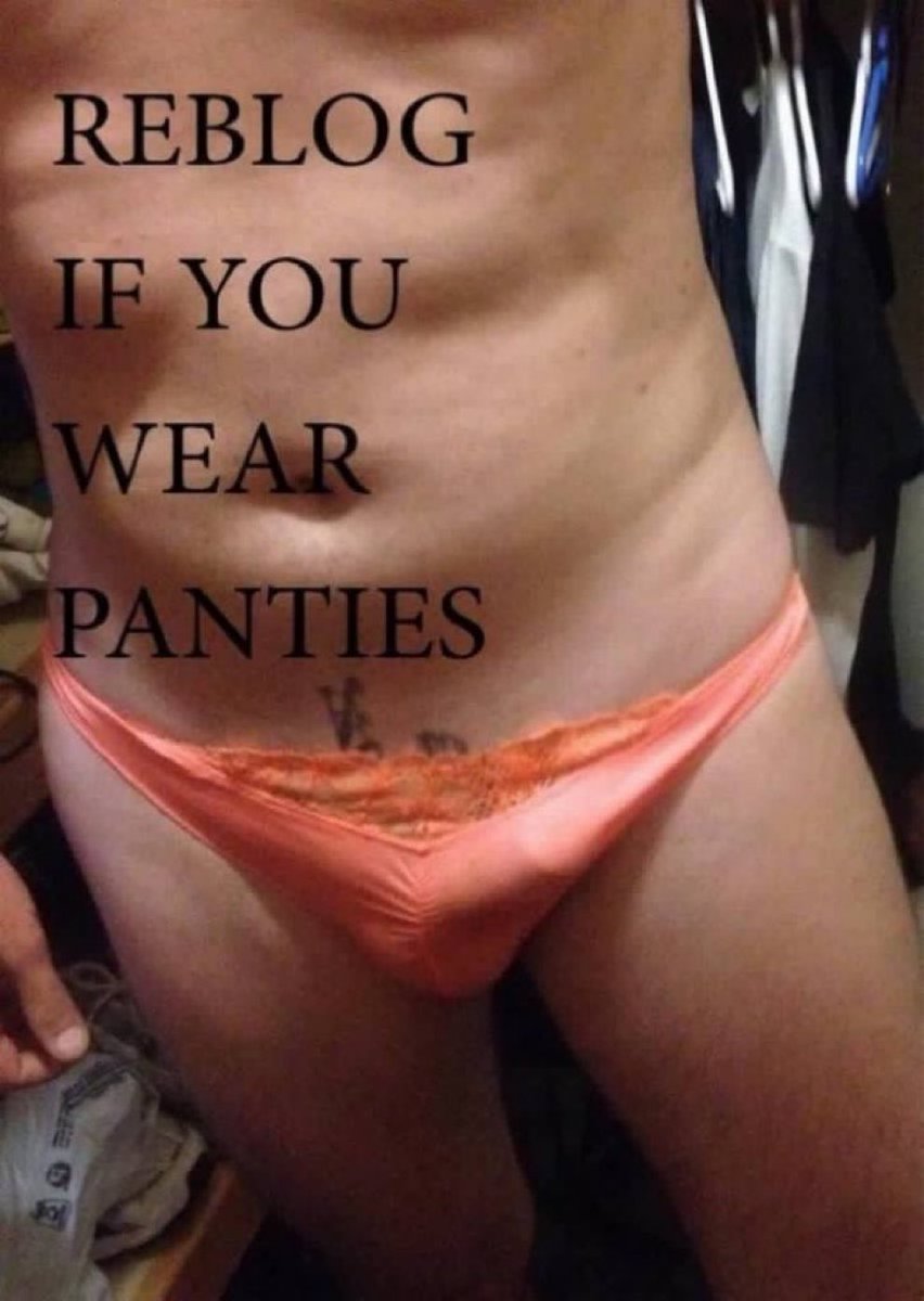 SISSY/GAYTEST PLATFORM tweet media