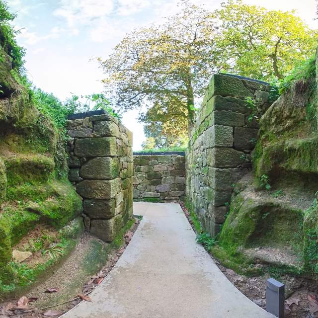 Turismo de Vigo tweet media